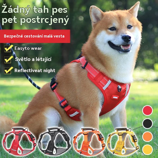 🐶【5–30 kg】Vodítko pro psy s postrojem, proti tahání, pro domácí mazlíčky.