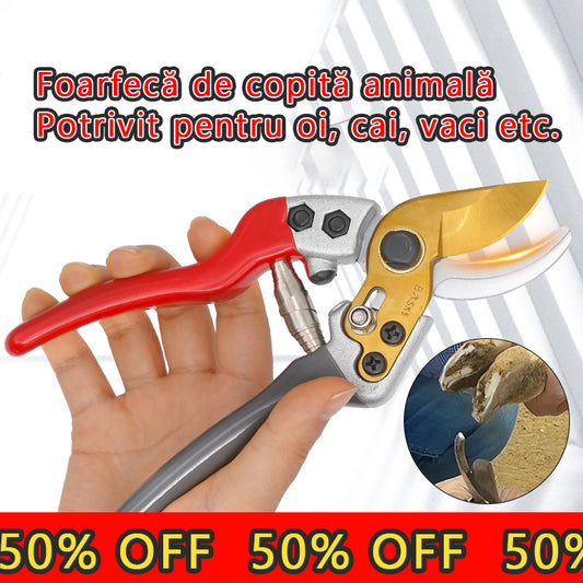 Kopyta owiec, kopyta krowy, nożyce do kopyt koni-3882924