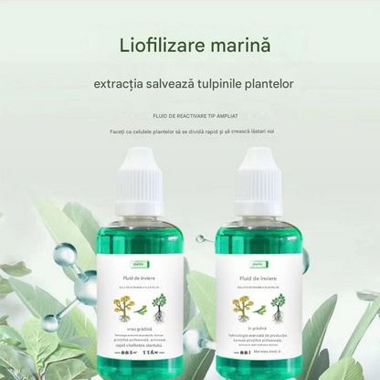 🎁【3 láhve】🌱🌱Tekutý roztok, který aktivuje rostliny a květiny