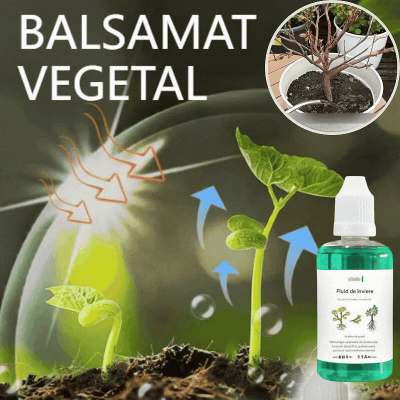 🎁【3 láhve】🌱🌱Tekutý roztok, který aktivuje rostliny a květiny