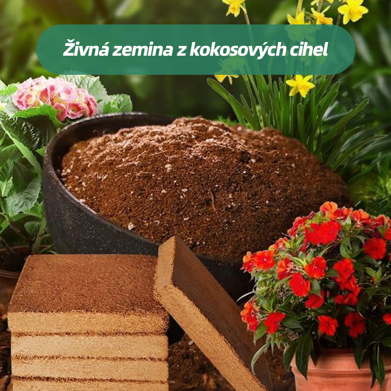 💥【3 položky】🌱🌱 Výživná kokosová cihlová půda